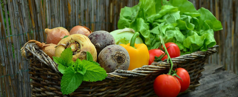 Gesund Essen