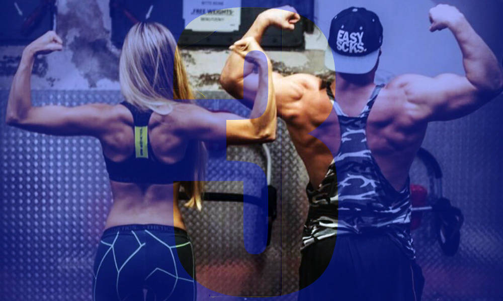 shrdd and gain 3