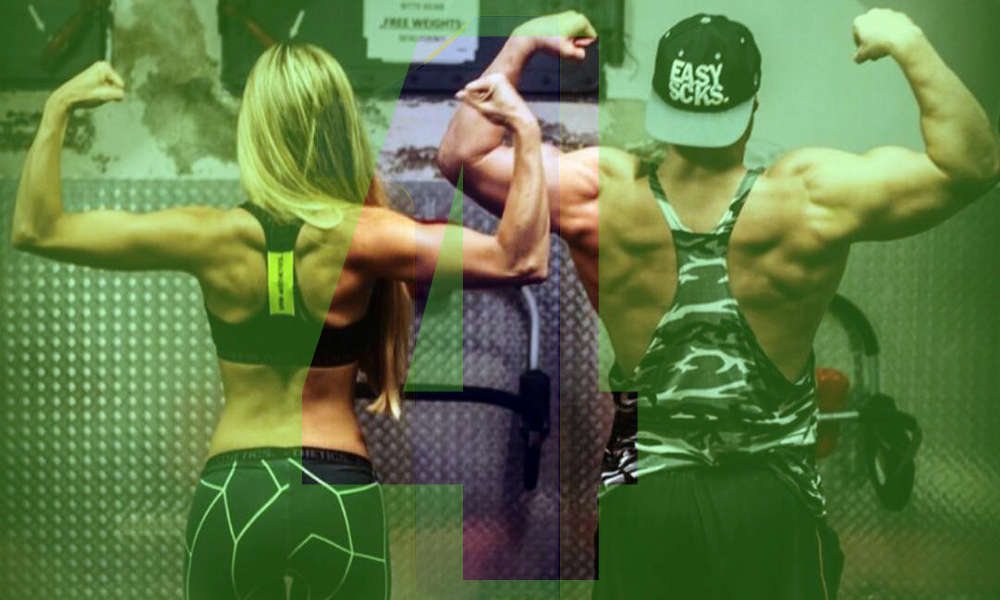 shrdd and gain 4