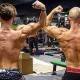 koerperfettanteil - karl & emir shredded