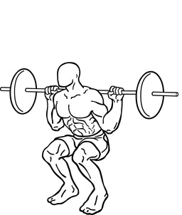 muskelaufbau uebungen - squat